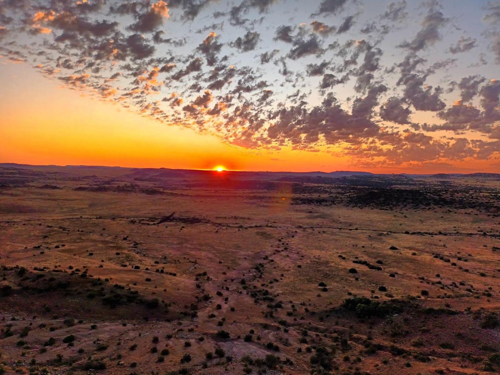 Letsatsi Game Lodge Smithfield Dış mekan fotoğraf