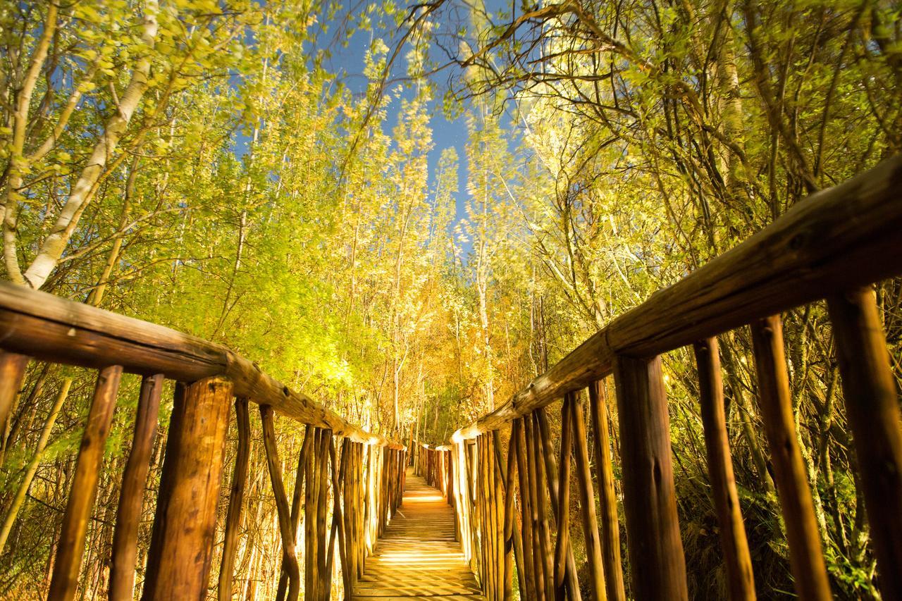 Letsatsi Game Lodge Smithfield Dış mekan fotoğraf