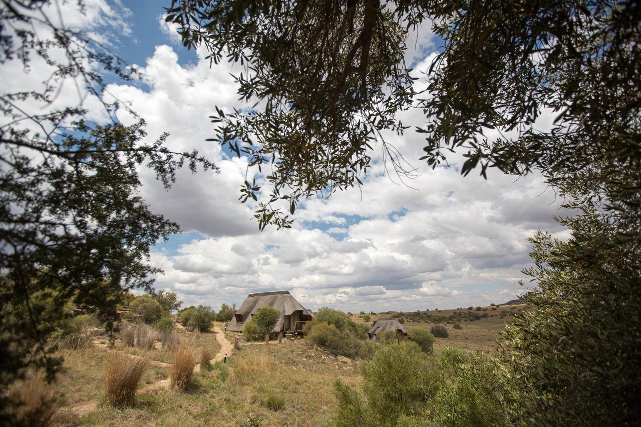 Letsatsi Game Lodge Smithfield Dış mekan fotoğraf
