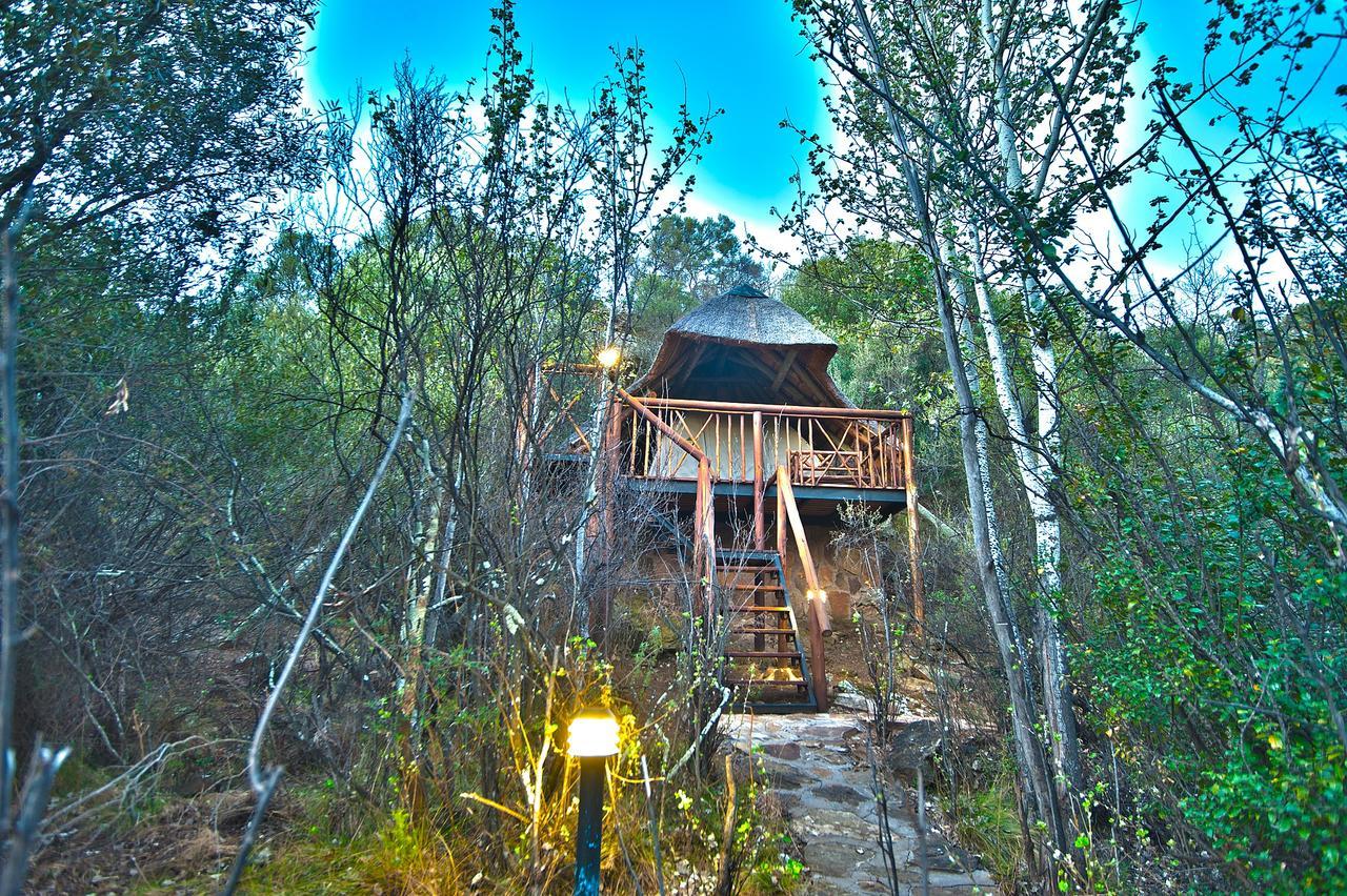 Letsatsi Game Lodge Smithfield Dış mekan fotoğraf