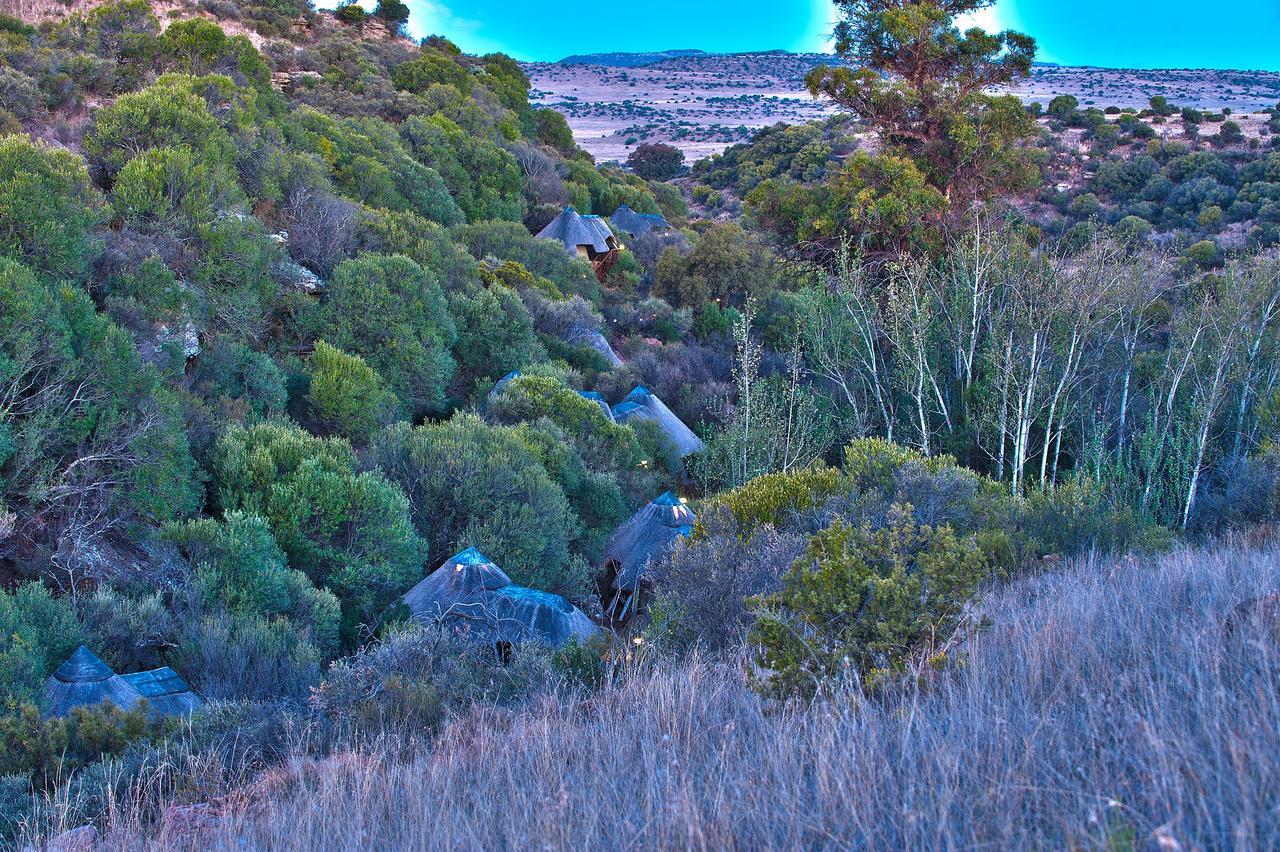 Letsatsi Game Lodge Smithfield Dış mekan fotoğraf